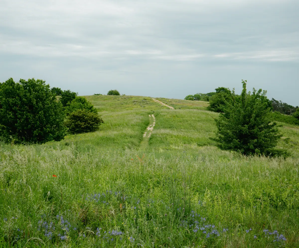 Green rolling pastures with a red barn and forested hills in the background